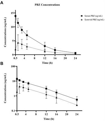 Phenylbutazone concentrations in synovial fluid following administration via intravenous regional limb perfusion in the forelimbs of six adult horses